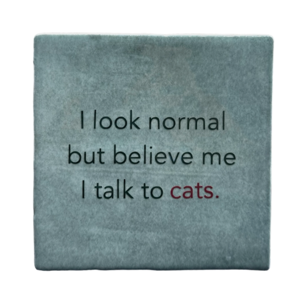 I look normal but I believe me, I talk to cats.